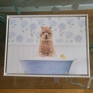Llama with Rubber Duck framed picture